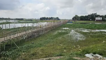 স্বাধীনতার ৫৩ বছরেও নির্মিত হয়নি সেতু, বাঁশের সাঁকোই একমাত্র ভরসা