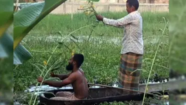 বিলুপ্তির পথে পরিবেশবান্ধব ও সহজ নৌযান তালের ডোঙা