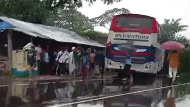 পটিয়ায় বাস নিয়ন্ত্রণ হারিয়ে উপড়ে ফেললো কাঁঠাল গাছ, আহত ৩