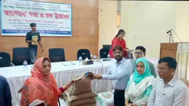 মুকসুদপুরে প্রান্তিক কৃষকদের পাশে কৃষি সম্প্রসারণ অধিদপ্তর