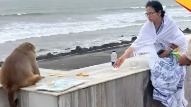 গোধূলিলগ্নে সমুদ্র সৈকতে কি করছেন মমতা