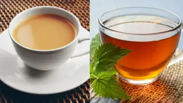 সকালের দুধ-চা বনাম লাল চা, পাকস্থলীর জন্য কোনটা ভালো?