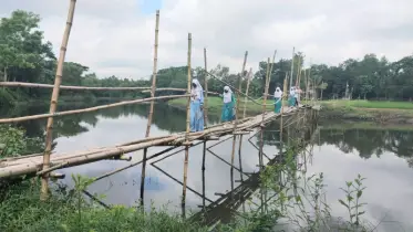 কুমিল্লার লালমাইতে  ৪০ বছর ধরে বাঁশের সাঁকোতেই ভরসা
