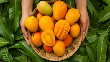 স্বাদে নয়, গুণেও রাজা আম