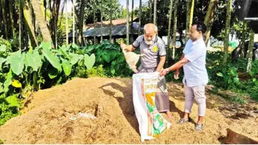 গরম ও বিদ্যুৎ সংকটে ধ্বংসের মুখে মুরগি খামারিরা