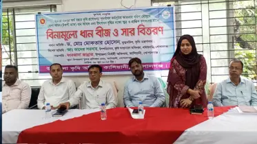 কাশিয়ানীতে বিনামূল্যে রোপা আমন বীজ পেলেন প্রান্তিক কৃষকরা