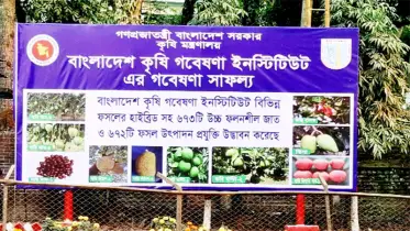 বাংলাদেশ কৃষি গবেষণা কাউন্সিল, ফার্মগেট