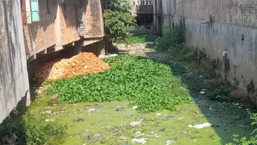 হাটহাজারীতে ‘মরা ছড়া’ দখলের পাঁয়তারা, শঙ্কায় স্থানীয়রা