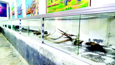 রাখাইন জাদুঘর