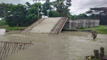 উদ্বোধনের আগেই খালে ভেঙে পড়লো ৬ কোটি টাকার ব্রিজ
