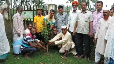 ধনবাড়ীতে কৃষক দলের আয়োজনে বৃক্ষরোপণ কর্মসূচি
