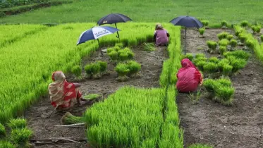 ক্ষুদ্রঋণে বাংলাদেশের বর্তমান অগ্রগতি ও আগামীর জন্য কিছু পরামর্শ