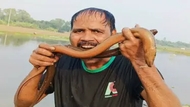 ভাইরাল হতে জীবন্ত পোকা-মাকড় খাচ্ছেন আকরাম