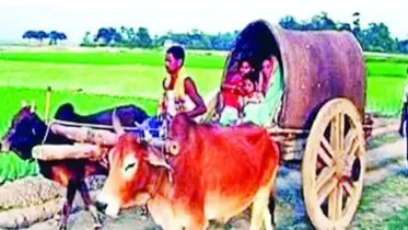 কালের বিবর্তনে হারিয়ে গেছে গ্রামবাংলার ঐতিহ্যবাহী গরু-মহিষ ও ঘোড়ার গাড়ি