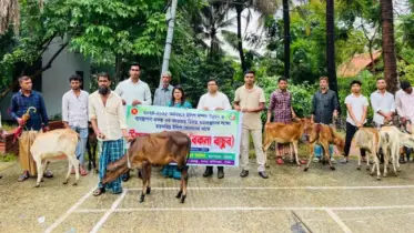 আনোয়ারায় বিকল্প পেশায় উদ্বুদ্ধ হচ্ছেন জেলেরা