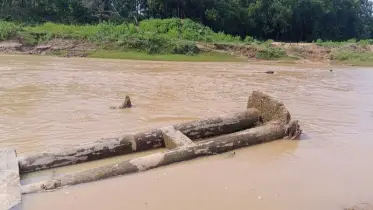 নালিতাবাড়ীতে ভাঙা ব্রিজের কারণে বিপাকে হাজারো মানুষ