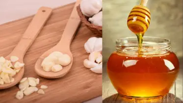 খালি পেটে কাঁচা রসুন বা মধু খাওয়া— বিজ্ঞান কী বলে?