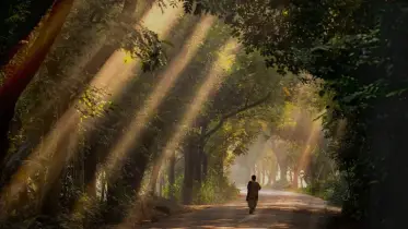 চুনারুঘাট: সবুজের বুকে লুকিয়ে এক অনাবিল প্রাকৃতিক খনি