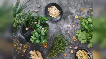 তুলসি থেকে নিম: ৬টি শক্তিশালী ওষুধি  পাতার উপকারিতা