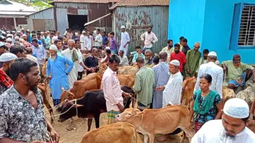 দুর্গাপুরে নামমাত্র ইজারা মূল্যের গরু-ছাগলের হাট পেয়ে খুশি ক্রেতা-বিক্রেতা
