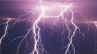 হালুয়াঘাটে ধান কাটতে গিয়ে বজ্রপাতে শ্রমিকের মৃত্যু