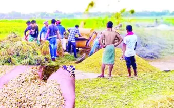 ডায়াবেটিস রোগীরা পেট ভরে খেতে পারবেন