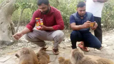 সুন্দরবনে পর্যটকদের ’স্মৃতিচিহ্নে’ বিষাক্ত আবর্জনার নীরব আগ্রাসন