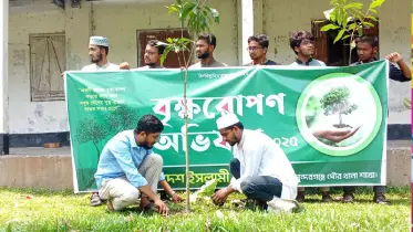 শিক্ষার্থীদের মাঝে গাছের চারা বিতরণ করল ছাত্রশিবির