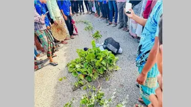করিছেরপুলে সড়ক দুর্ঘটনা, এসিআই কর্মীর মর্মান্তিক মৃত্যু