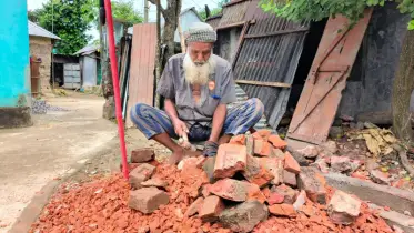শতবছর বয়সে ইট ভাঙ্গা শ্রমে জীবন চলে মানিক মোল্লার