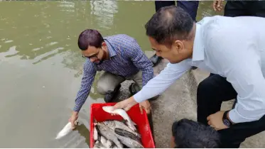 আমতলীতে মাছের পোনা অবমুক্ত