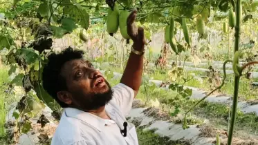 জনপ্রিয় ইউপি চেয়ারম্যান থেকে আদর্শ কৃষক মানিক