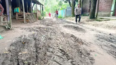 বাছমুই আর কয়দিন মরার আগে এইডা পাকা হইলে হাইটা শান্তি পাইলামনি