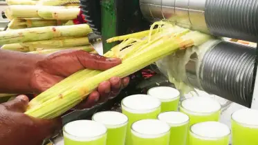গরমে আখের রস খাওয়া ঠিক না ভুল?