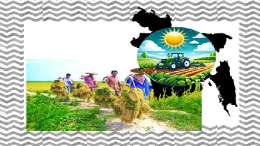 কৃষি খাতের পুনর্মূল্যায়ন কৃষি কমিশন গঠন প্রসঙ্গে