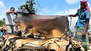 কোরবানির পশুর চামড়ার মূল্য নির্ধারণ