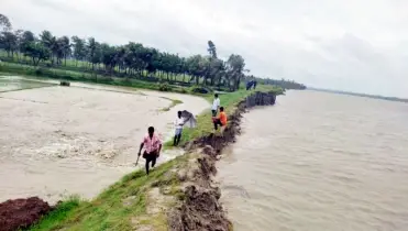 আনোয়ারায় বেড়িবাঁধে তীব্র ভাঙন  আতঙ্কে উপকূলবাসী