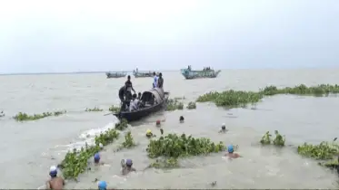 মৈনট ঘাটে উৎসবের আমেজ, পদ্মায় সাঁতার প্রতিযোগিতা