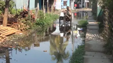 নড়াইল পৌরসভার পঁচাত্তর শতাংশ সড়কের বেহাল দশা