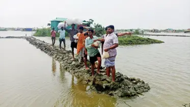 নিঝুমদ্বীপে দুর্গতের পাশে যুবদল