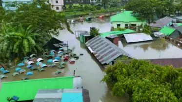 ফেনীতে দুর্গত এলাকা পরিদর্শনে উপদেষ্টা ফারুক-ই-আজম, বন্যা নিয়ন্ত্রণ বাঁধের কাজ এক নম্বর হতে হবে