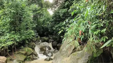 প্রাকৃতিক মুগ্ধতায় হারিয়ে যাওয়ার স্থান ধুমনি ঘাট
