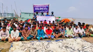 নোয়াখালী হাতিয়ায় ইলিশ সহ ৬টি ট্রলার, ৯৩ জন জেলে আটক