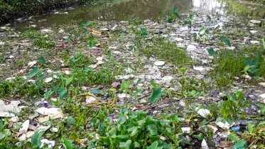 বর্ষাতেও বরগুনার নদী, খাল ও পুকুরের পানি ব্যবহারের অযোগ্য