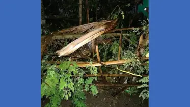 রংপুরে কালবৈশাখী ঝড়ের হানা