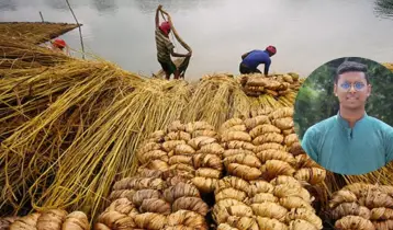 পাট সংকট ও আমাদের করণীয়