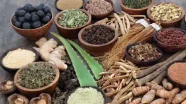সুস্থ-সবল থাকতে ব্যবহার করুন ১০ আয়ুর্বেদিক 