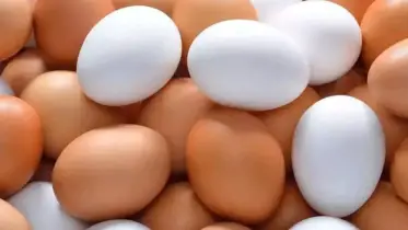 সাদা ডিম নাকি লাল ডিম, কোন ডিমে পুষ্টি বেশি