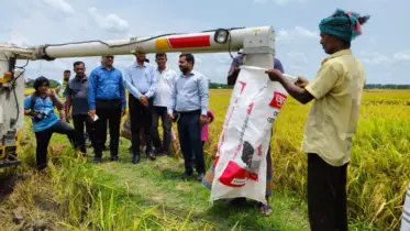 সমলয় চাষাবাদে কৃষকের স্বপ্ন, বিঘাপ্রতি ফলন ২৯ মণ খরচ কম লাভ বেশি