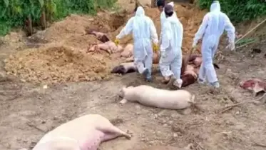 আফ্রিকার ভয়ঙ্কর সংক্রামক রোগ ভারতে! 